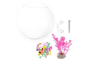 POPETPOP Aquarium à poisson rouge - Vase mural à suspendre en acrylique - Décoration d'intérieur - 17 cm de diamètre