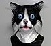 Produktbild The Rubber Plantation Latex Katzenmaske Schwarz & Weiß mit Fell Katze Tabby Tom Tier - Halloween