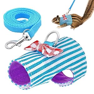 Cettkowns – Chaleco de paseo para hurón, con correa