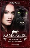 Cover zum Buch Kampfgeist