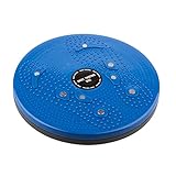 TRIXES Torsion Waist & Hips Twist Exercise Board for Fitness and Exercise Blue