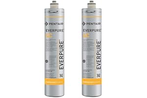 TERMOIDRAULICA RV Filtro Everpure 4C per acqua - confezione da 2