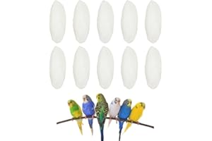 BASTOUR Huesos de Sepia Pájaros, Huesos de Sepia para Tortuga, Huesos de Sepia Juguetes para Masticar, Juguetes para Pájaros, Pájaro Calcio Juguete para Reptiles Tortugas Caracol Pequeños Animales, 10