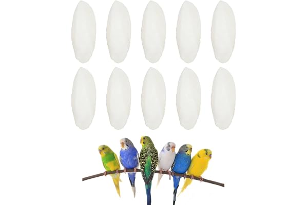 BASTOUR Os de Seiche Oiseaux, Os de Seiche pour Tortue, Os de Seiche Jouets à Mâcher, Jouets à Mâcher Oiseaux, Oiseau De Calcium Jouet pour Reptiles Tortues Escargots Petits Animaux, 10 Pièces