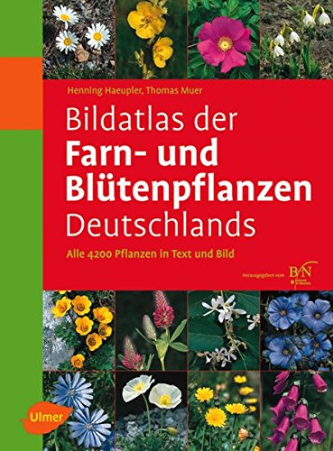 Download Bildatlas der Farn- und Blütenpflanzen Deutschlands Download Bildatlas der Farn- und Blütenpflanzen Deutschlands