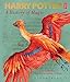Produktbild Harry Potter - A History of Magic: The Book of the Exhibition