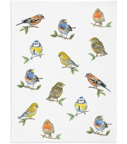 Torchon Coton Ambiente Torchon Oiseaux Rencontre 50x70 Cm – Motif Élégant Oiseaux, Qualité Européenne