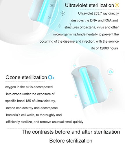 Express Panda WC Sanitizer mit UV-Licht und Ozon-Technologie für 100% Sterilisation – perfekt für Business, Universität, Home Use - 4