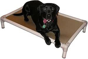 chew proof dog bed amazon