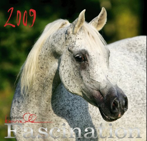 Fascination 2009: Mohn Media