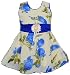 Cute Fashion Kids Girls Baby Princess Sifon Print Party Wear Frock Dresses Clothes for 3 Months to 18 Months (Blue, 12-18 Months) RS.535.00