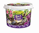 Compo 5in1 Pflanzdünger und mehr 1,5 kg