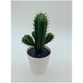 IKEA FEJKA Kakt&uuml;s, 14 cm, Mini Saksılı Yapay Kakt&uuml;s Bitki