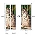 Produktbild PANDABOOM Türaufkleber 77X200Cm 3D Eule Wand Tür Aufkleber Wandbild Tapete Wandaufkleber Aufkleber Dekor Selbstklebend