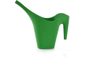MINTRA HOME Mintra Arrosoir Plastique 2L Solide, Arrosoir Plante Intérieur, Arrosoir Extérieur Jardin, Arrosoir Bonsai, Durable, Patio, Balcon, Pelouse, sans BPA, 29.5X 34.5 x12 cm, (Vert)