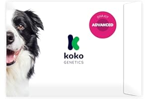 Koko Genetics DNA Test for Dogs Advanced (+175 Reports of Breeds, Health and Traits) - Upgrades at no cost