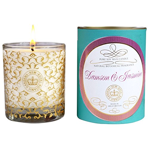 Preisvergleich Produktbild Kew Gardens Damson und Jasmine Kerze