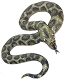 python schlange gelb Einfache Mitnahme dank leichtem Material