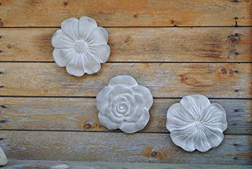 Wandbilder Blüten,3er Set mit verschiedenen Blüten,grau,je 20cm