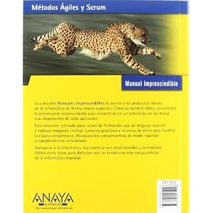 Métodos Ágiles y Scrum