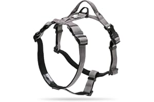 TRUE LOVE Harnais pour Chien Gilet Rembourré Durable Réfléchissant Réglable pour Animaux de Compagnie TLH6171(Gris,S)