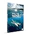 Still the water - DVD