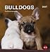 Bulldogs Postkartenkalender - Kalender 2017 by