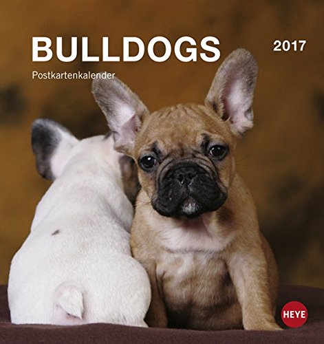 Bulldogs Postkartenkalender - Kalender 2017