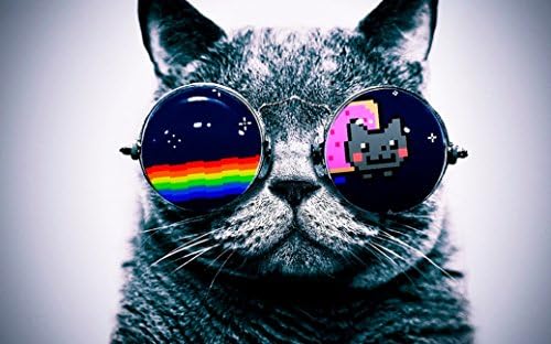 skymay Cool Macro Nyan Cat Glasses Fabric Cloth Rolled Wall Poster Print - Size: 21" x 13"