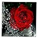 Produktbild Sharplace Blumen Tiere 5D Diamant Diamond DIY Kreuzstich Stickerei Malerei Bild Stickpackung Painting - Rote Rose
