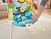 Fisher-Price 2-in-1 Sensory Stages Bouncer