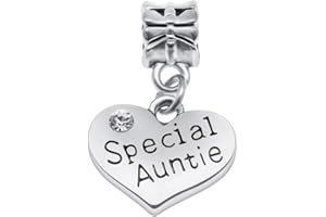 JEWELLERY HUT Message Pendant Charms for Charm Bracelets - 28 Message Options to Choose from Women's Girls Jewellery (Special Auntie)