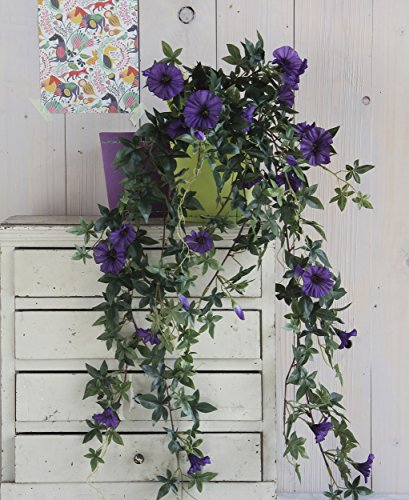 Mica decorations 953491-T Kunstblume -und Pflanze, Petunie hängend L80B20H15, violett - 2