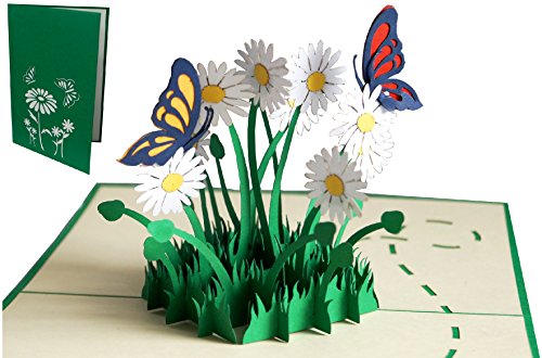 Lin 17554 - Pop Up Cartes, cartes d'anniversaire pop up 3d Cartes de vux 3d Carte Carte d'anniversaire pliante viel Glück Gute Besserung, papillons, Maga riten, N310
