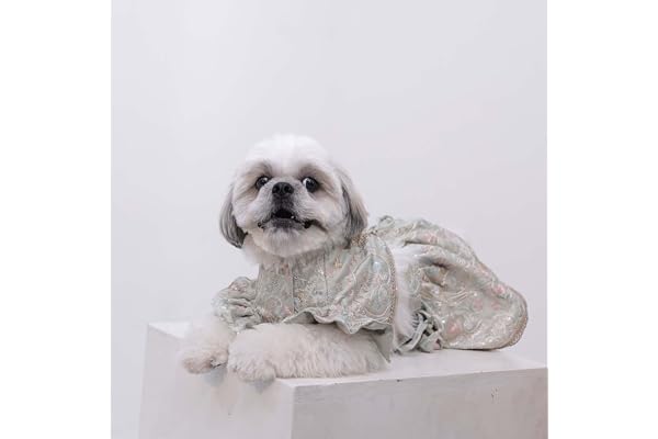 Furryfits Traditional Dog Lehenga, Cotton Festival Wear Costume for Female Dogs, Pastel Green, Wedding & Festive Attire (18 inch)