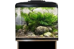 AQUAONE Aqua One AquaVue 480 Tanks, Black