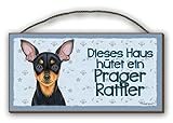 prager rattler kaufen tschechien Material Holz - MDF Platte DIESES HAUS HÜTET EIN PRAGER RATTLER - HOLZSCHILD MDF 25x12,5 cm 41 HUNDESCHILD