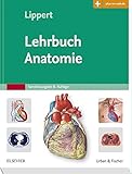 Image de Lehrbuch Anatomie: mit Zugang zum Elsevier-Portal