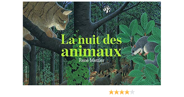 La Nuit des animaux - De 4 à 10 ans : Mettler,René: Amazon.fr: Livres