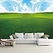 Produktbild Pbldb  Benutzerdefinierte 3D-Fototapete Für Moderne Wandgemälde Blue Sky White Clouds Pampa   3D Mural Wallpaper-250X175Cm