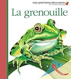 Image de La grenouille