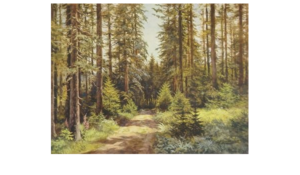 Germanposters Ernst Frommhold Sonniger Waldweg Poster Bild Kunstdruck 56x68cm Amazon De