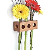 Fenstervase Apfel 3er Blumenvase Test Tube Vase Flower Vase