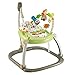 Price comparison product image Fisher-Price Woodland Friends Spacesaver Jumperoo