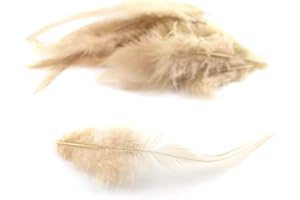 CREATIVERY 3 g di piume a forma di gallo, circa 8 – 13 cm (champagne 815) // piume decorative per bricolage