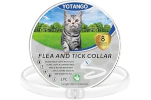 YOTANGO Collier Anti Puces pour Chat, Collier Anti Puces et Tiques pour Chats Imperméable, Collier Anti Puce Chat Réglable 8 Mois de Protection Naturelle Anti Tique pour Chaton Moyen et Grand Chats-Blanc