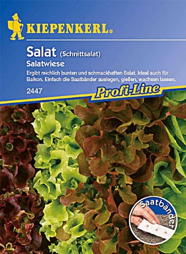 Schnittsalat 'Salatwiese' Saatband,4 x 2,5