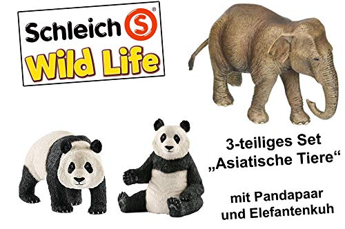 Preisvergleich Produktbild Schleich Asiatsiches 3er-Set, Pandapaar + Elefantenkuh