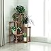Produktbild JXXQD Massivholz Regal Multi-Layer-Indoor-Outdoor-Boden Blumentopf Rack Balkon Regal (Farbe : Verkohlung)