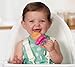 Munchkin Fresh Food Feeder - 1 Pack